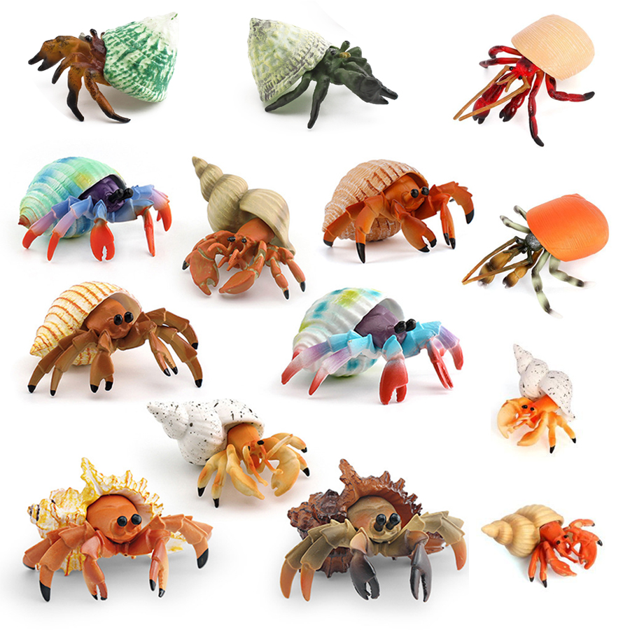 Kids Toys 3 Year Old - Figurine réaliste de crabe ermite, modèle