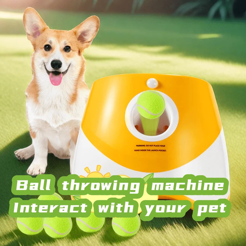 Lanceur automatique pour chien - Catapult Launcher Toy avis et prix