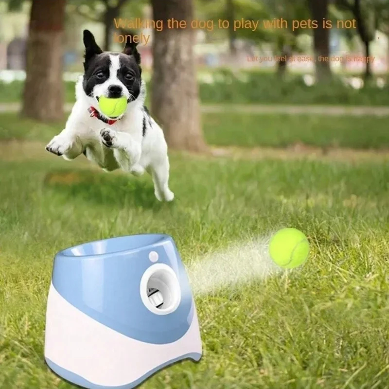 Lanceur automatique pour chien - Catapult Launcher Toy avis et prix